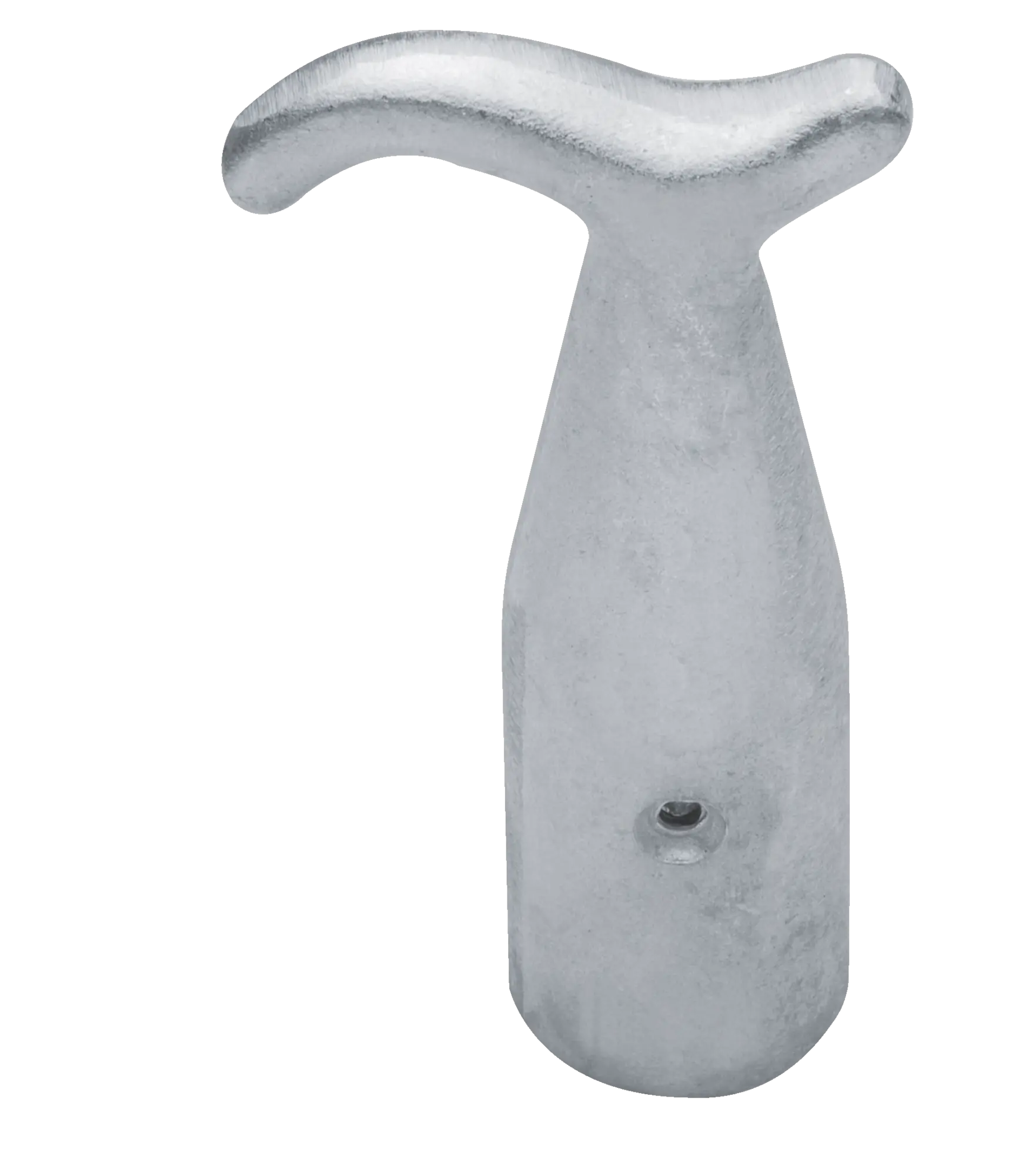 Oberlichtschnapper