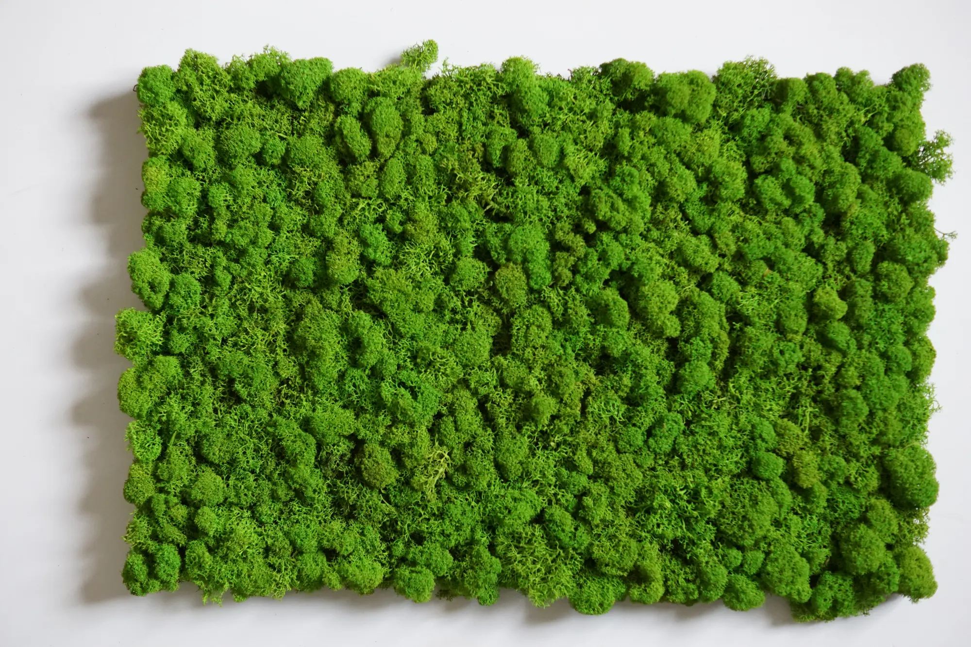 Nature Style Moosfliese mittelgrün, Expressfliese, flexibler Teppichträger, Einzelkartonverpackt