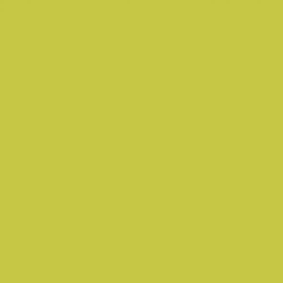 Duropal Schichtstoff U19509 SD Olive
