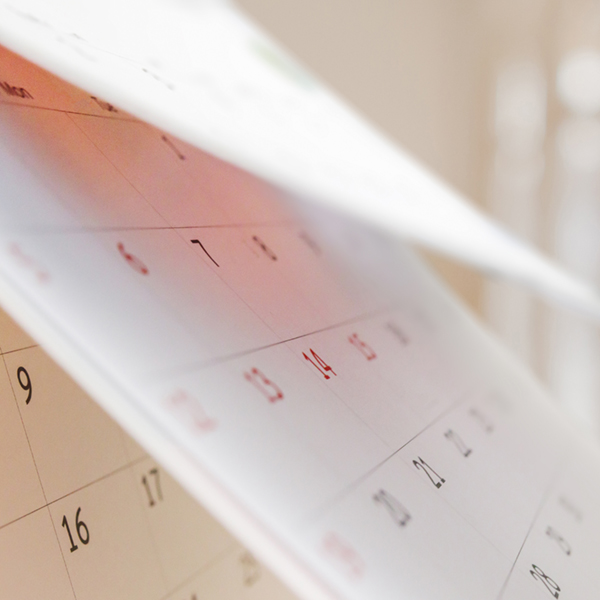 Teaser Termine & Events