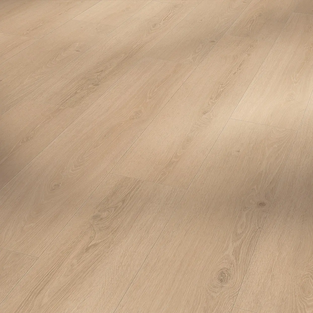 PARADOR Vinylboden Basic 30 Eiche Studioline geschliffen, Holzstruktur, LHD, NK 31, 1601336,