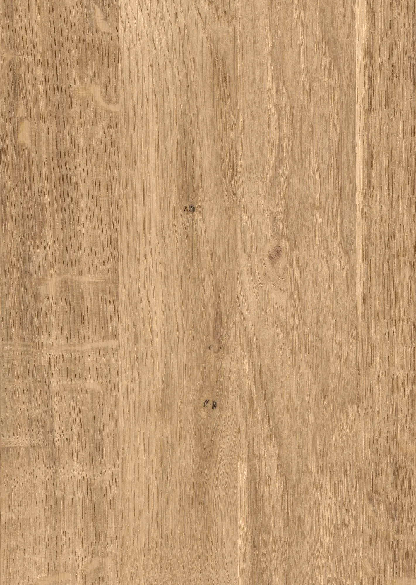 LIFESTYLEBOARD SPA Wildeiche elegant