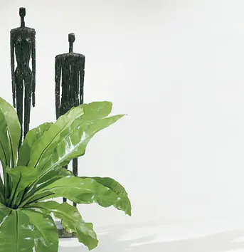 ESG-Türverglasung Float Höhe 1545 mm