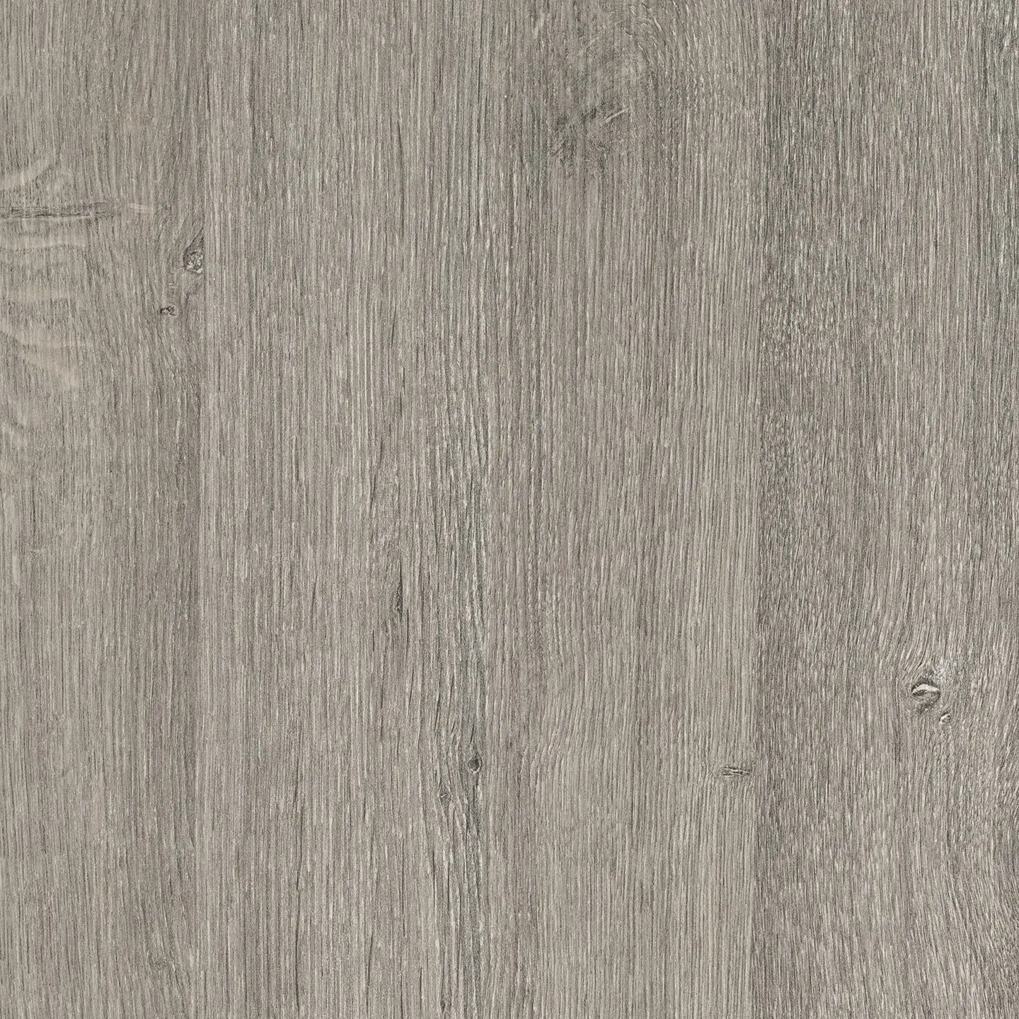 Resopal SpaStyling Board 4228-EM Silver Oak, Beschichtung 0,8 mm, HPL Trägerplatte