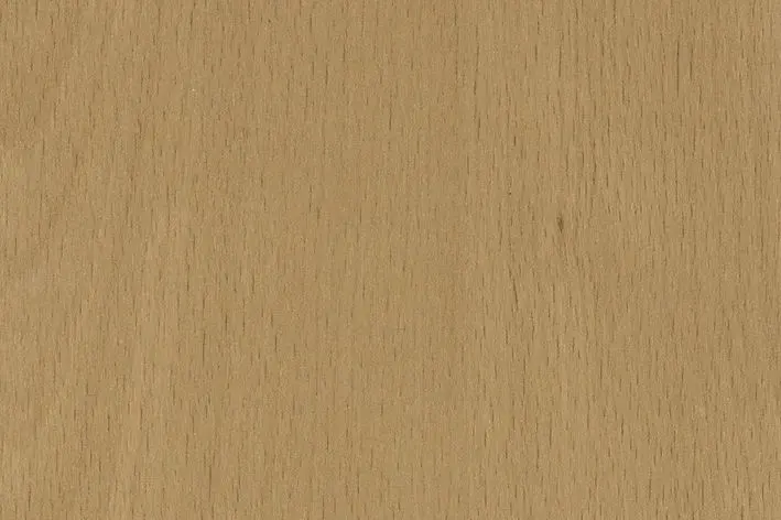 Garant Schiebetür CePal Buche Exklusiv, Röhrenspankern, Schiebetür auf der Wand laufend,