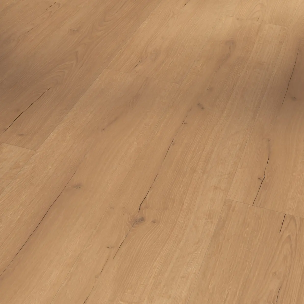 PARADOR Vinylboden Basic 30 Eiche Infinity natur lebhafte StrukturLHD, NK 31, 1730634,
