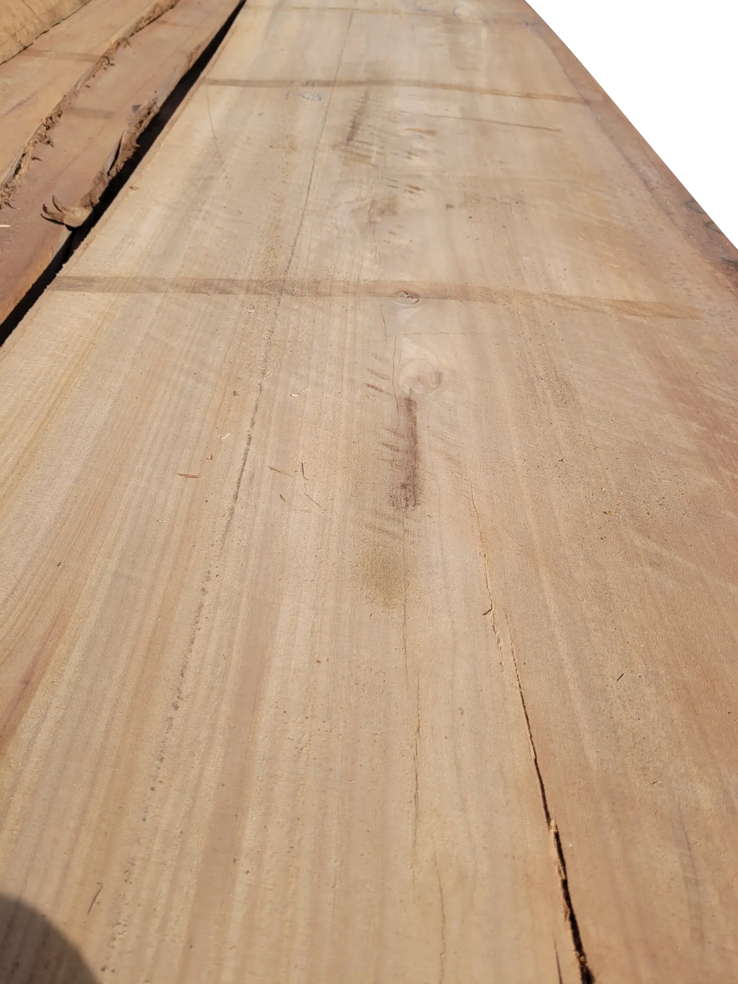 Rüster ged. Stammware, KD, Innenausbauqualität A/B, Holzfeuchte 10% +/-2%
