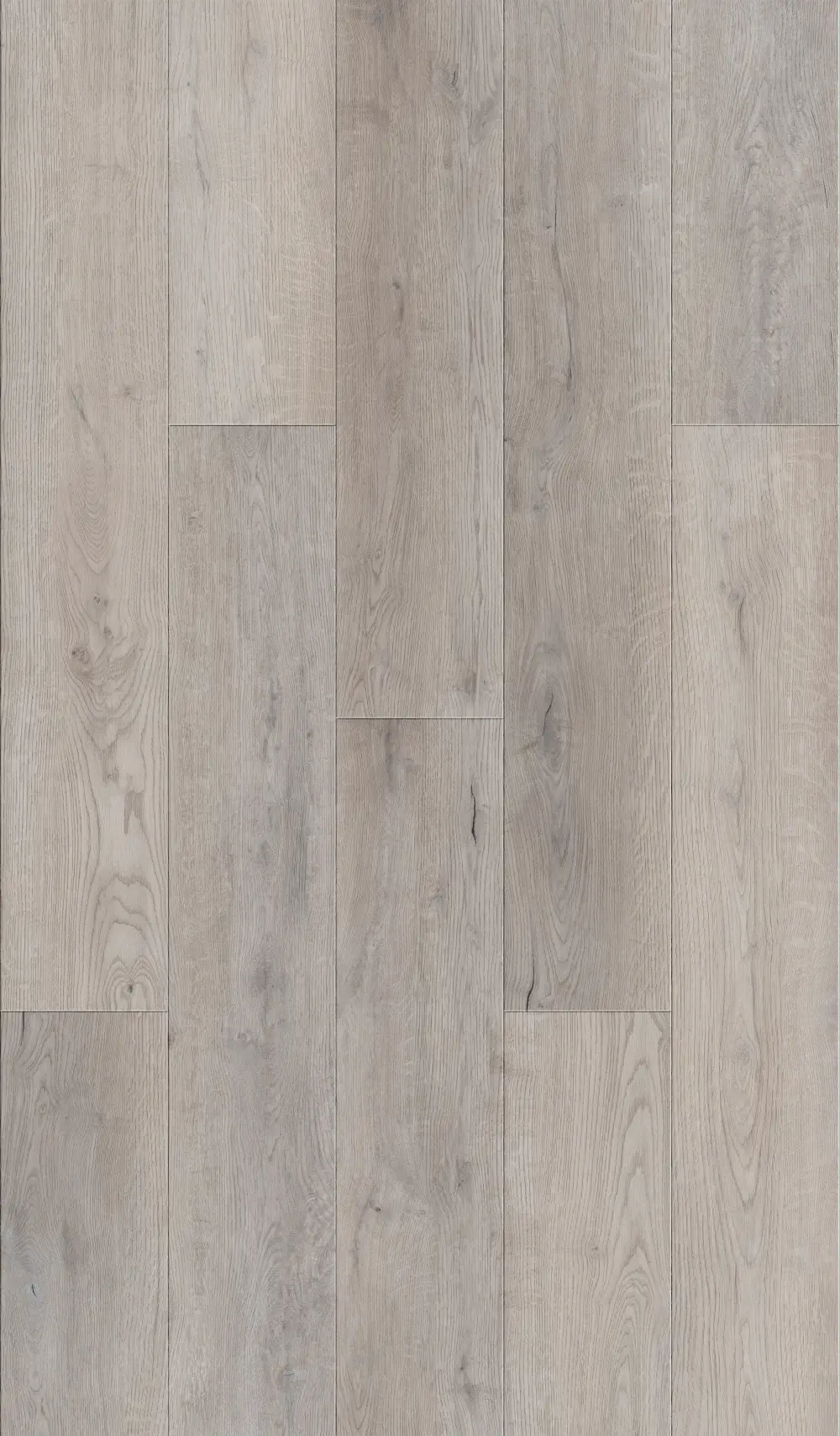 Designbelag SPC Oak grey XL #45, 4-seitig Microfase, inkl. Trittschalldämmung, NK 33,