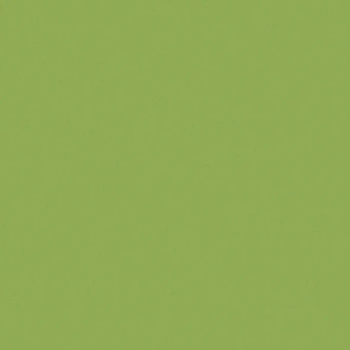 Duropal Schichtstoff U19501 SD Granny Smith