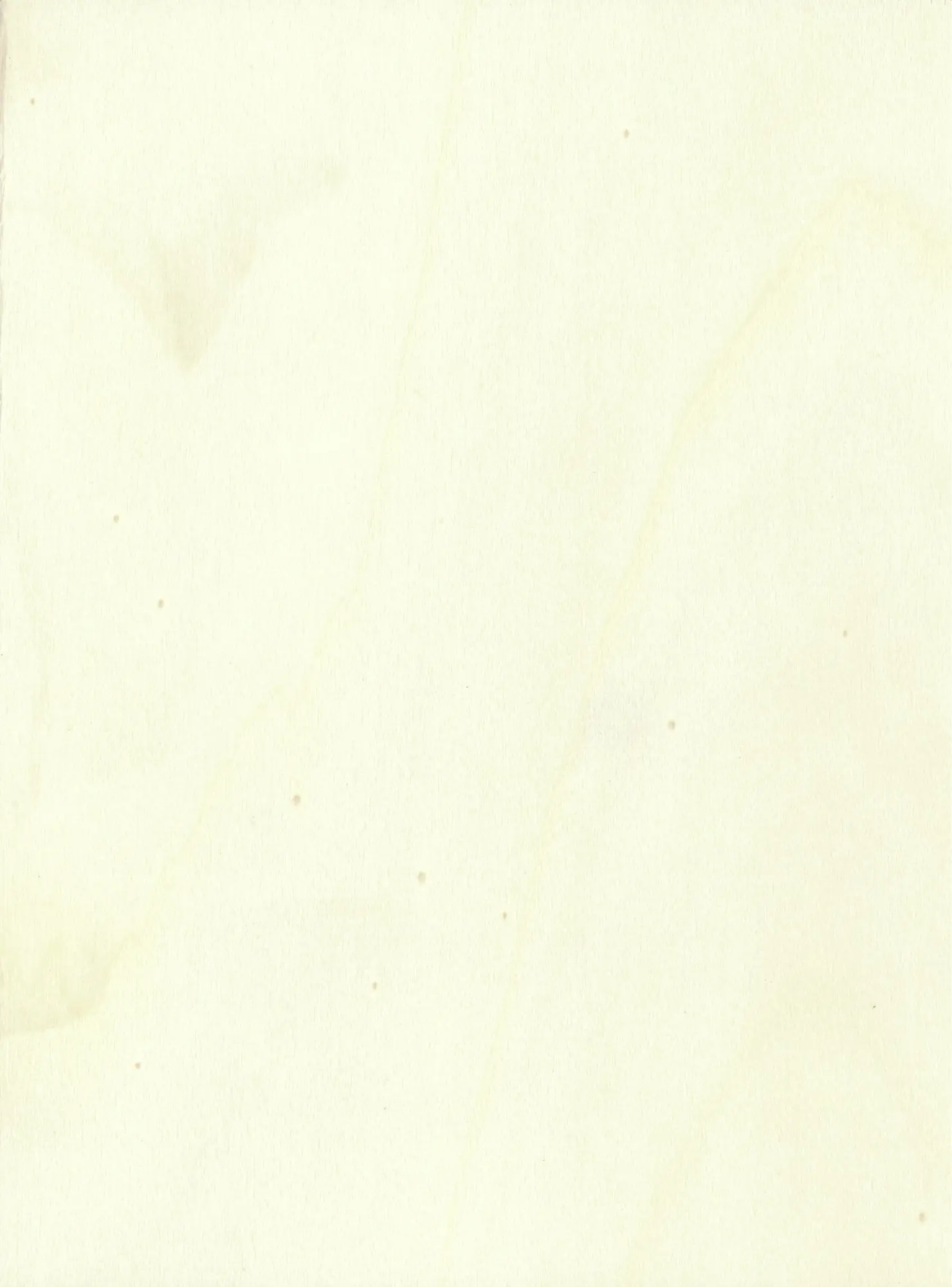 Furnierplatte Pappel IF