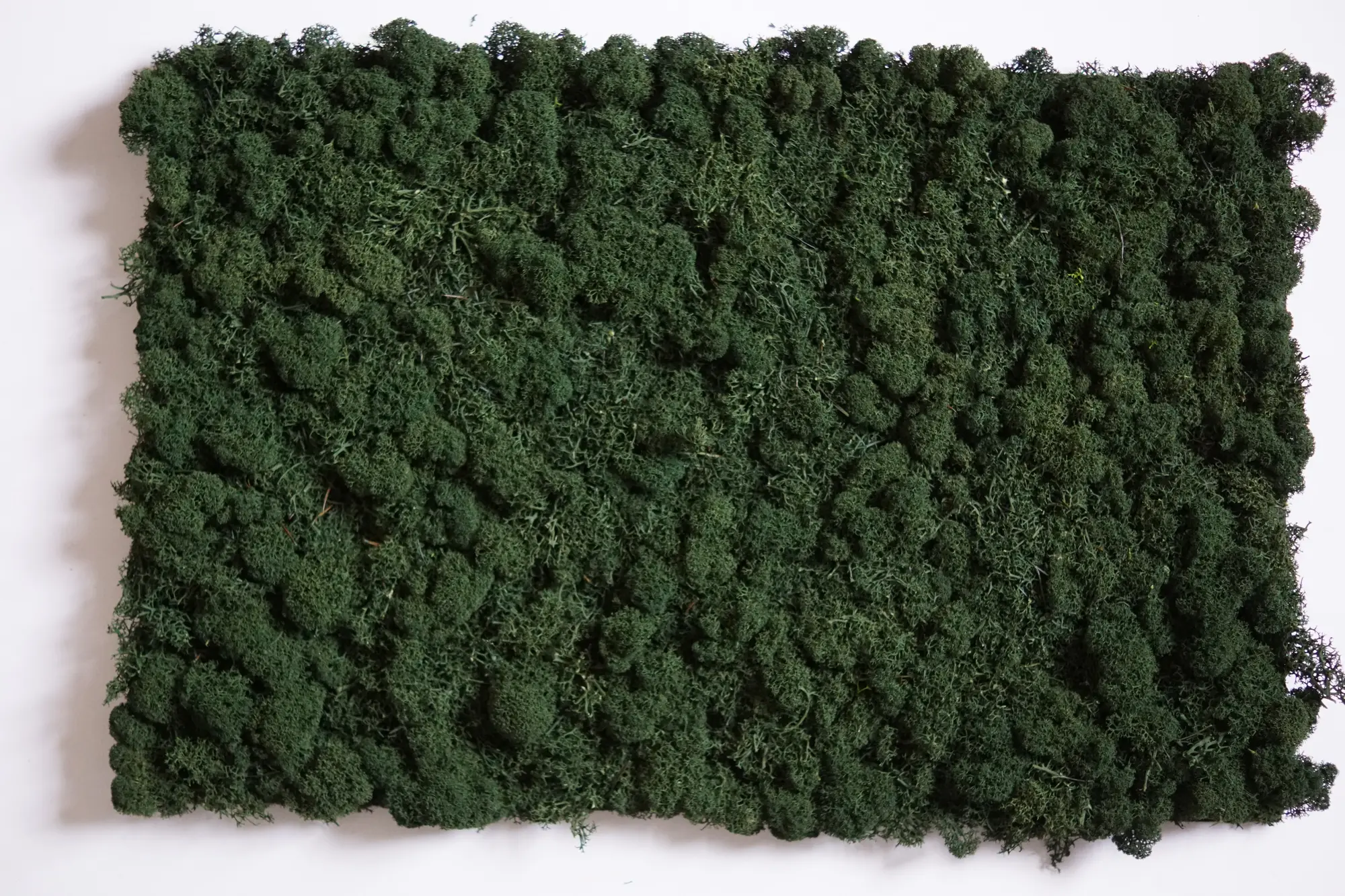 Nature Style Moosfliese dunkelgrün, Expressfliese, flexibler Teppichträger, Einzelkartonverpackt