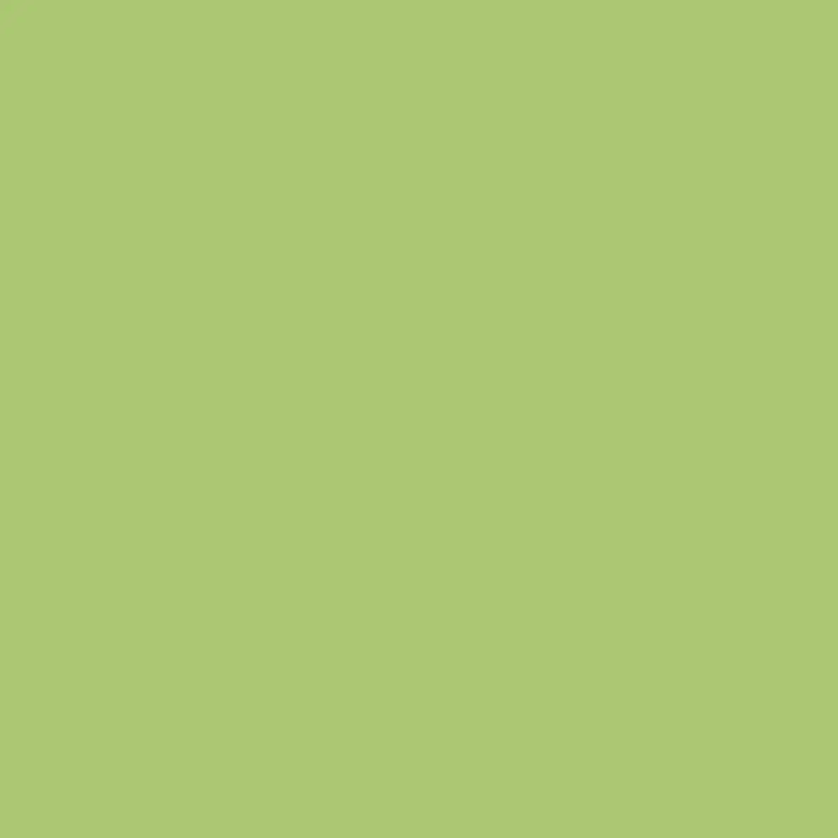 Duropal Schichtstoff U19508 SD Chartreuse