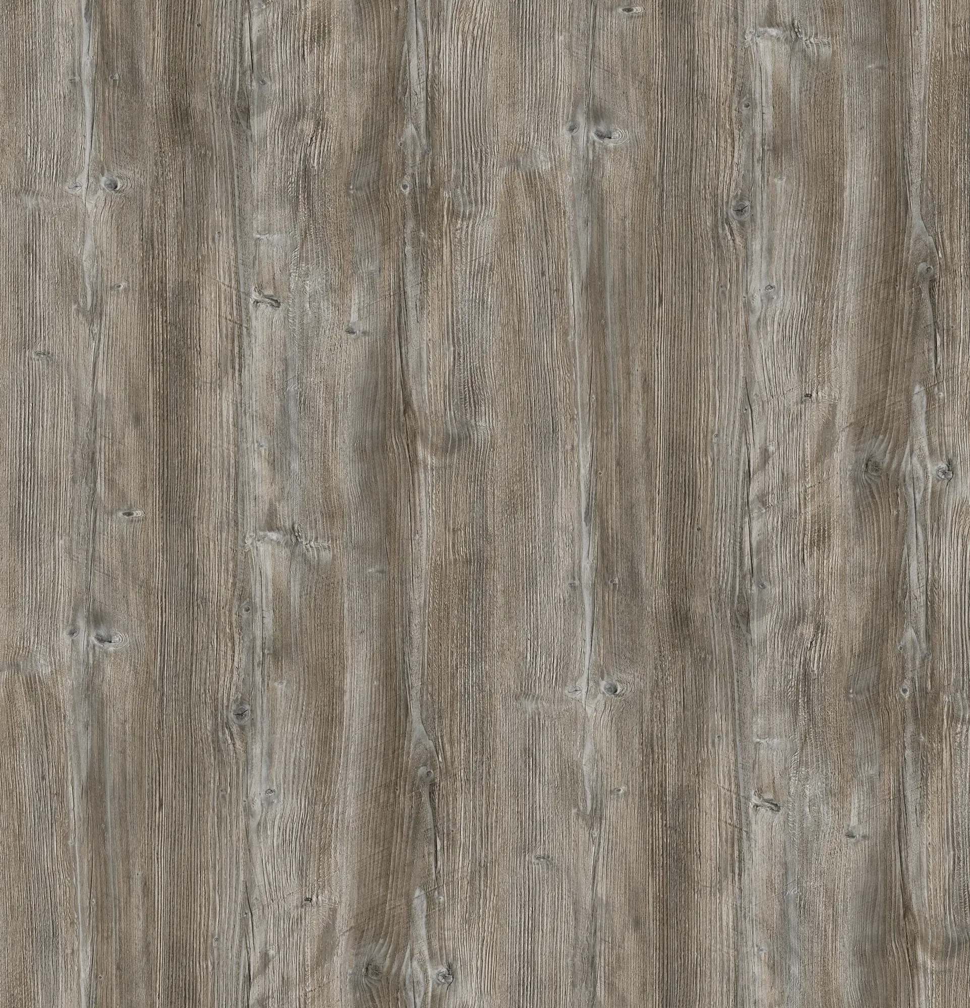 Pfleiderer Dekorspan R55004 RU Ponderosa Pine