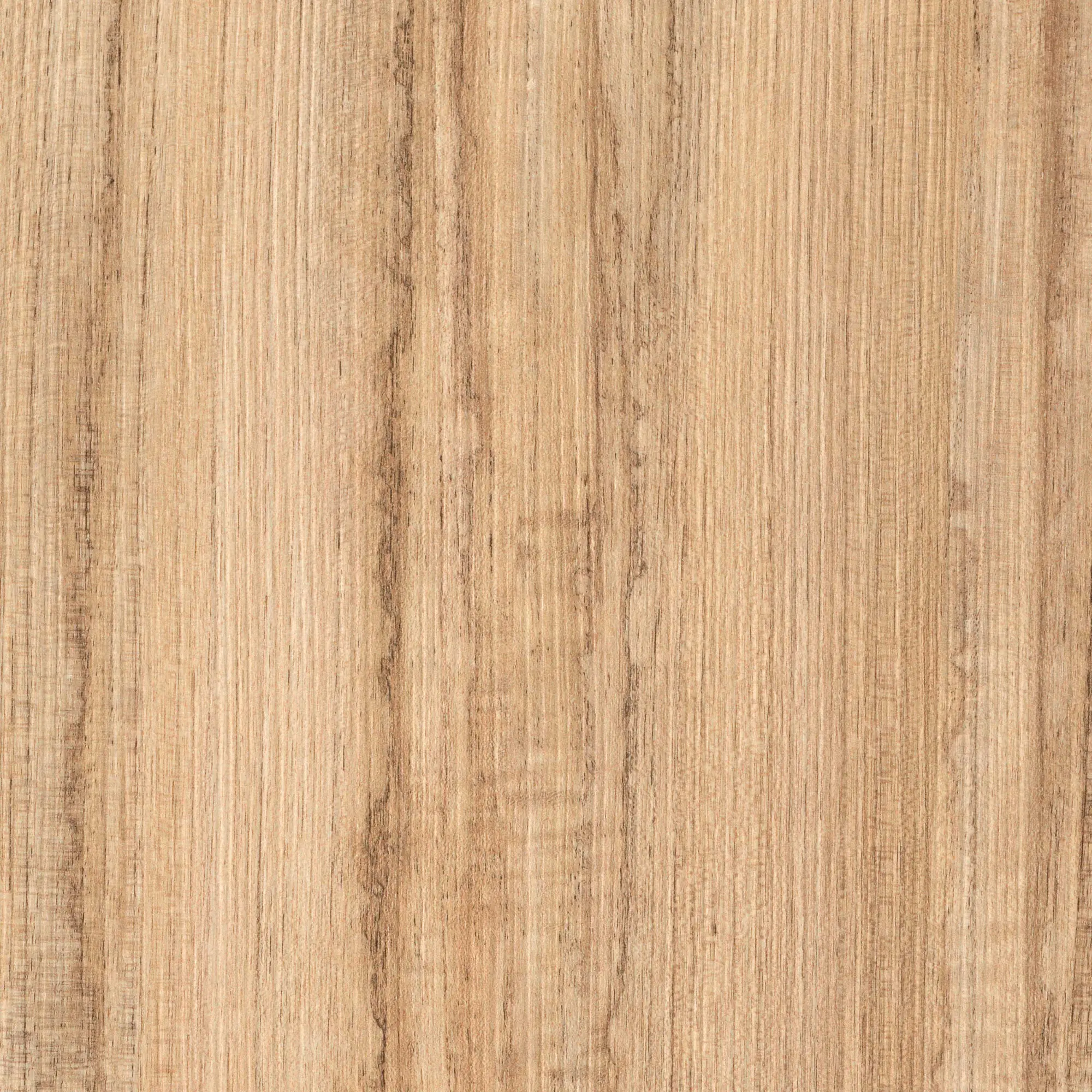 Resopal Schichtstoff 4129-WH Washy Elm