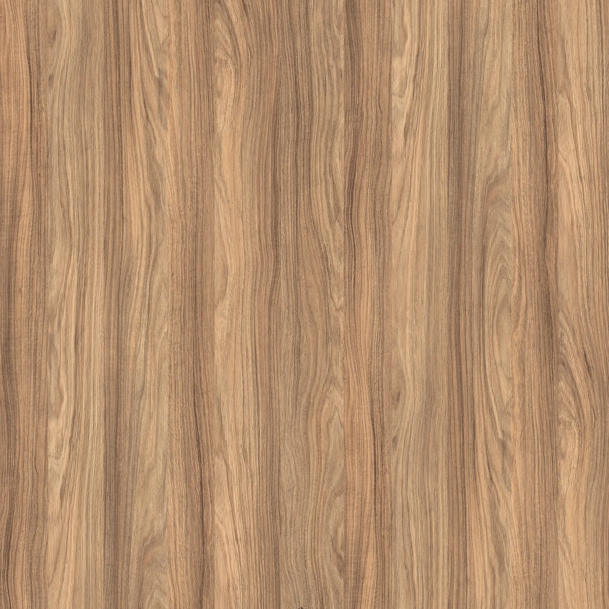 Krono Schichtstoff K021 SN Barley Blackwood