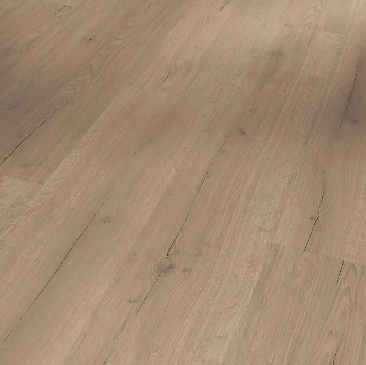 PARADOR Vinylboden Basic 30 Eiche Infinity grau lebhafte Struktur, LHD, NK 31,  1730635,