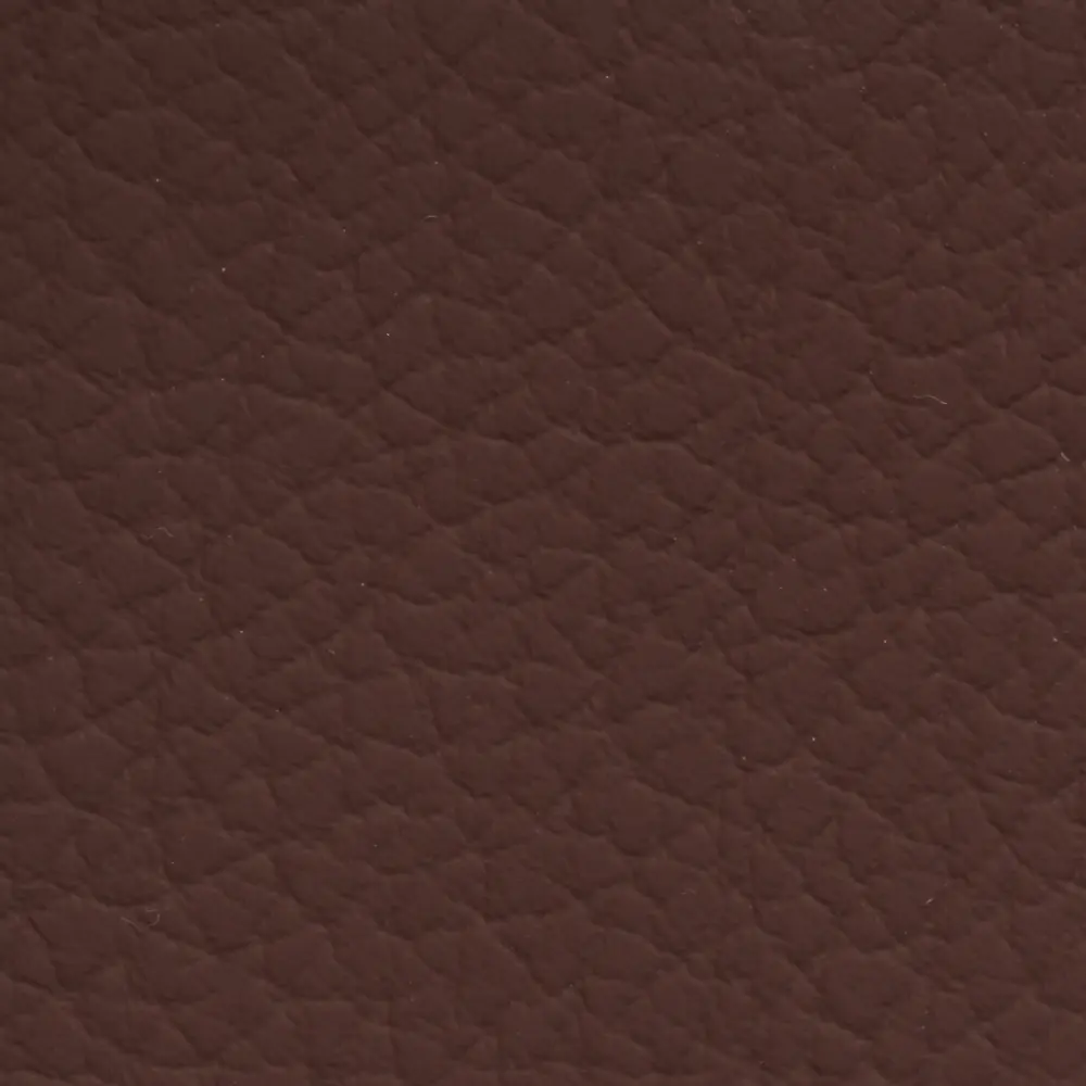 cohera Interior Bison