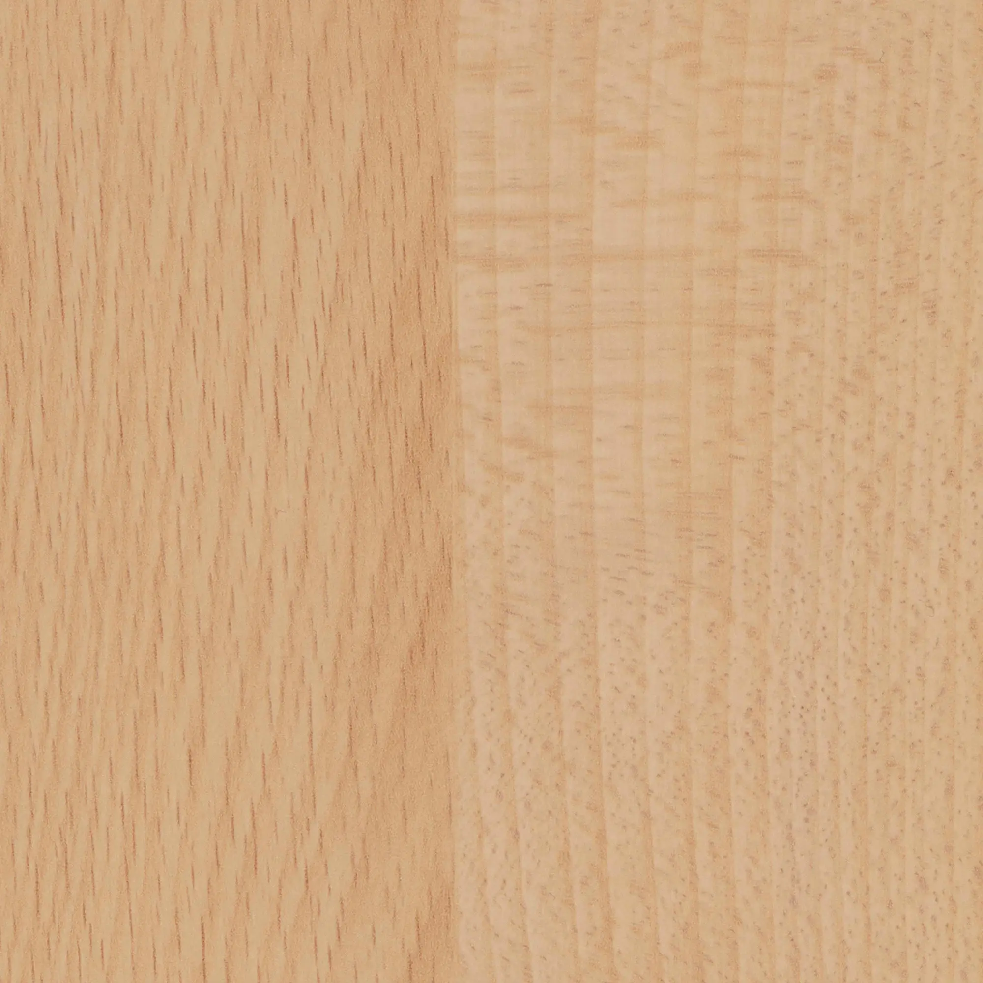 Duropal Arbeitsplatte R24015 VV Weißbuche, Profil Quadra, Radius 3 mm